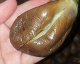 صورة لخطوة 3 من وصفة المكدوس