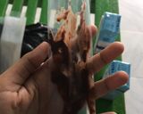 Foto langkah ke 2 dari resep Es Lilin Susu.