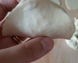 Foto del passaggio 5 della ricetta Gyoza gemellati vegani