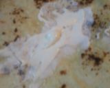 A picture of step 5 of Pineapple Chicken Burritos.