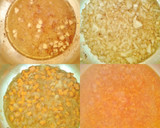 Foto del paso 9 de la receta: Estofado de ternera con alcachofas