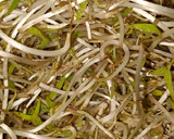 Foto del paso 1 de la receta: Chop Suey estilo Cynthia Serena