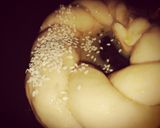 صورة لخطوة 8 من وصفة كعك السميت 🥨