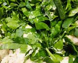 Foto del paso 3 de la receta: Tamales de espinacas