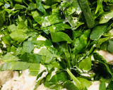 Foto del paso 3 de la receta: Tamales de espinacas