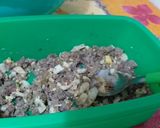 Foto del paso 2 de la receta: Tacos caseros económicos
