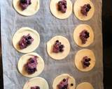 Wild blueberry bites recipe step 3 photo