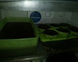 Foto langkah ke 6 dari resep Puding Brownis Coklat.