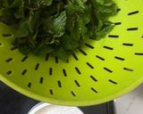 A picture of step 1 of Mint chutney.