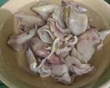 Foto langkah ke 1 dari resep *2) Cumi asin pelangi selalu di hati.