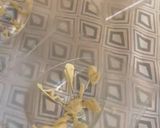 Foto del paso 3 de la receta: Huevos de Pascua de dos colores quedan divinos