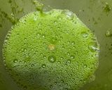 A picture of step 4 of Tri colour juice.