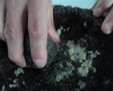 Foto del paso 2 de la receta: Salsa quebrada de molcajete poco picante, el mentidero