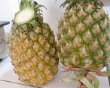 Hình bước làm 1 của món Sinh tố thơm
