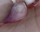 Foto langkah ke 1 dari resep Labu siem udang kuah santan (MPASI 11m+).