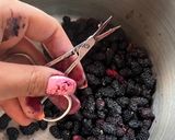 صورة لخطوة 1 من وصفة مربى التوت الاسود (mulberry jam)