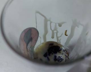 Es Milo Cendol Serut - Step 4