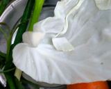 Foto langkah ke 2 dari resep 662. Bakwan Tahu dengan Tepung Bakwan Instan.