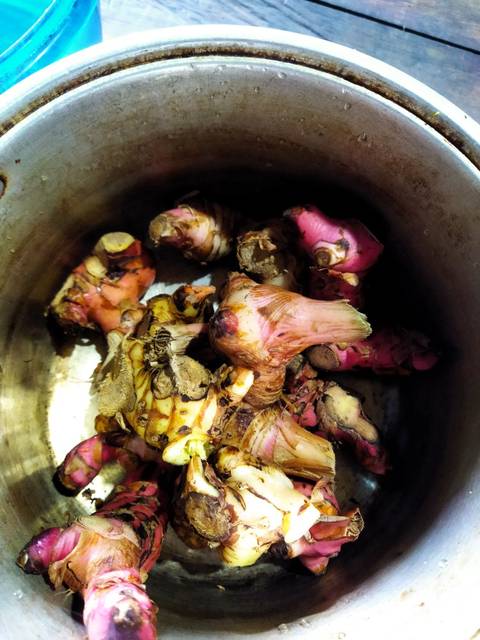 Langkah-langkah untuk membuat Cara membuat Ayam goreng laos