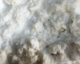 Foto del paso 1 de la receta: Pastel de carne