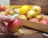 Foto del paso 1 de la receta: Tarta de manzana de la abuela
