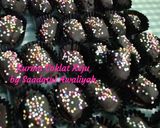 Foto langkah ke 3 dari resep 16. Kurma Coklat Keju.