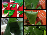 Lupis ketan gula merah