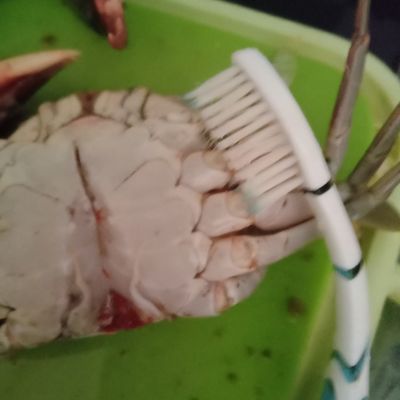Langkah 3