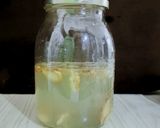 Foto langkah ke 2 dari resep Fermented Homemade Ginger Soda.