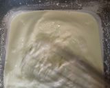 Yoghurtmatakin girki2 hoto
