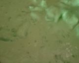 Foto langkah ke 2 dari resep Es Bongko (Ati Pari).