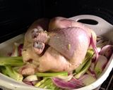 A picture of step 19 of Roast Chicken with Fennel.