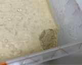 不甜不膩蜂蜜優格冰淇淋的食譜步驟5照片