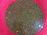 Pasta Kacang Hijau - Isian Pia/Pao/Onde-Onde/Roti
