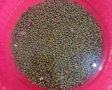 Foto langkah ke 1 dari resep Pasta Kacang Hijau - Isian Pia/Pao/Onde-Onde/Roti.