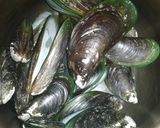 Foto langkah ke 1 dari resep Kerang Ijo Oseng2 Pedes.