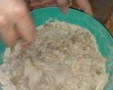 Foto del paso 3 de la receta: Masa para Tartas o Tarteletas Harina Integral... Riquísima.!