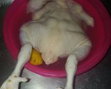 Foto langkah ke 1 dari resep Ayam Hainan & rice.