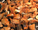 Foto del paso 1 de la receta: Lengua de cerdo con cebolla y rovellón (níscalos)