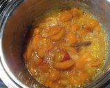 Foto del passaggio 2 della ricetta Chutney di albicocche
