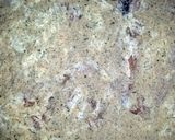 A picture of step 4 of Parmesan Crusted Chicken.