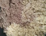 A picture of step 3 of Ragi laddoo.