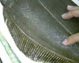 A picture of step 7 of Really Easy! How to Cut Up Flounder (Method 1).