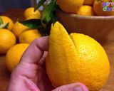 A picture of step 2 of Homemade Candied Orange Peels.