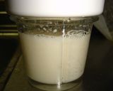 A picture of step 2 of Asian Pear Sorbet.