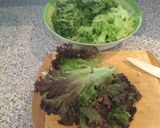 Foto del paso 3 de la receta: Ensalada de 4 hierbas con granada