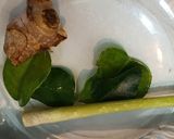 Foto langkah ke 1 dari resep Tempe Orek Kering.