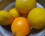 Foto del paso 1 de la receta: Mermelada de limón, naranja y pomelo con menta (sin azúcar)