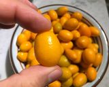 Foto del paso 1 de la receta: Sin romper los kinotos!!!!(kumquat o kinotos en almíbar)