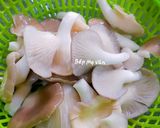 Hình bước làm 2 của món Bánh canh chay sườn chay gà,đậu hủ và nấm bào ngư